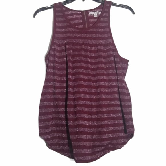 American Eagle Outfitters Tops - American Eagle Burgundy/Silver Striped Tank